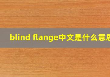 blind flange中文是什么意思